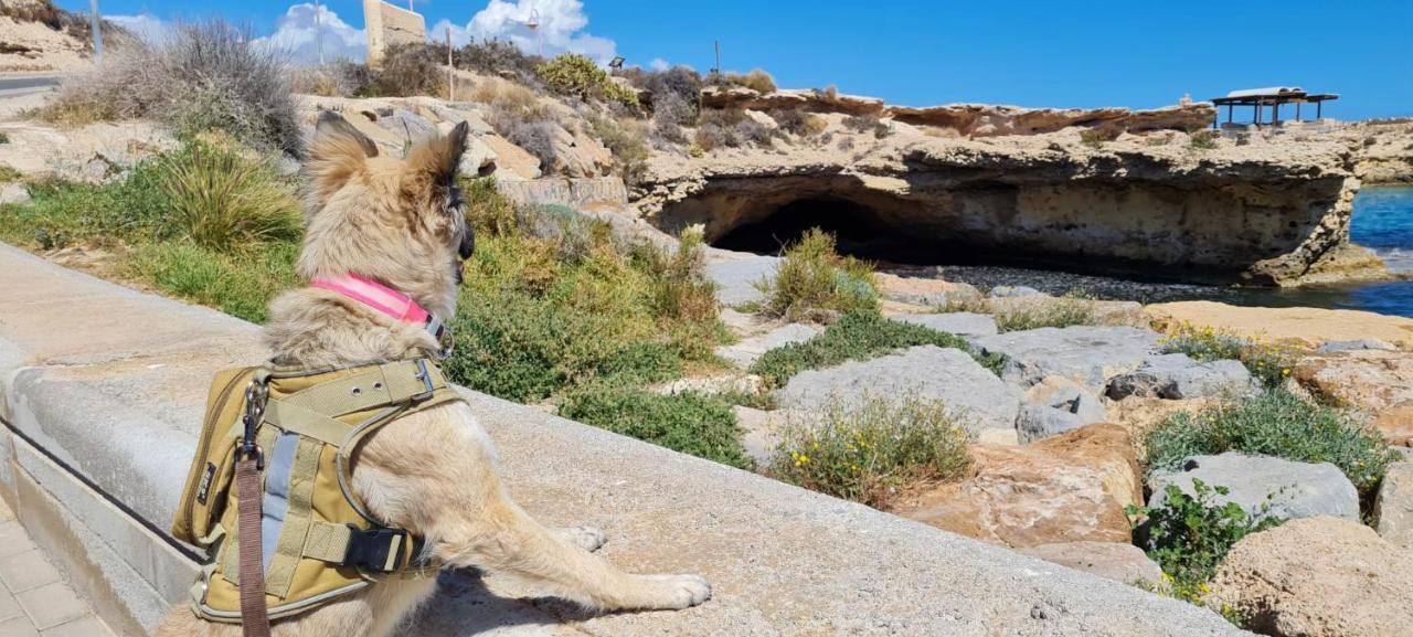 La Guarida Rustica Del Zorro Lägenhet Jijona Exteriör bild